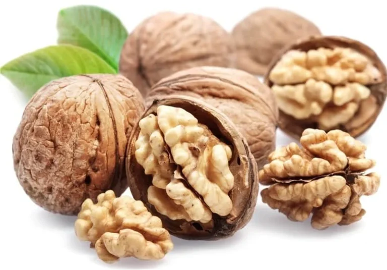 مضرات گردوی کرم زده