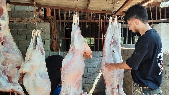 توزیع بیش از۱۰ هزار بسته گوشت قربانی بین نیازمندان شهرستان آمل ‌